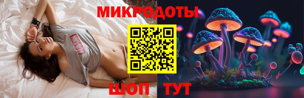 Псилоцибиновые грибы GOLDEN TEACHER Верхняя Салда